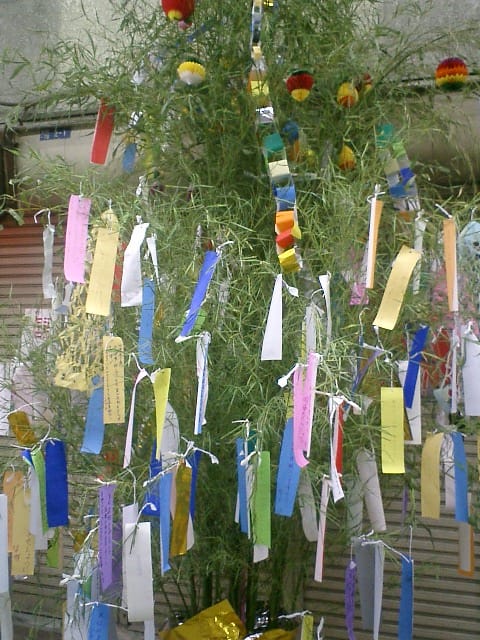 tanabata